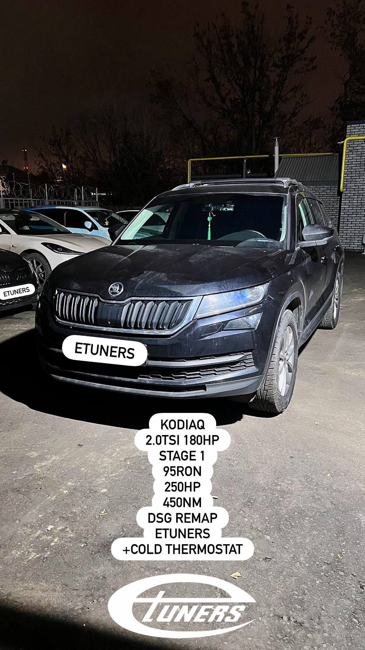 Skoda Kodiaq 2.0 TSI Stage 1: +30 hp and +60 Nm