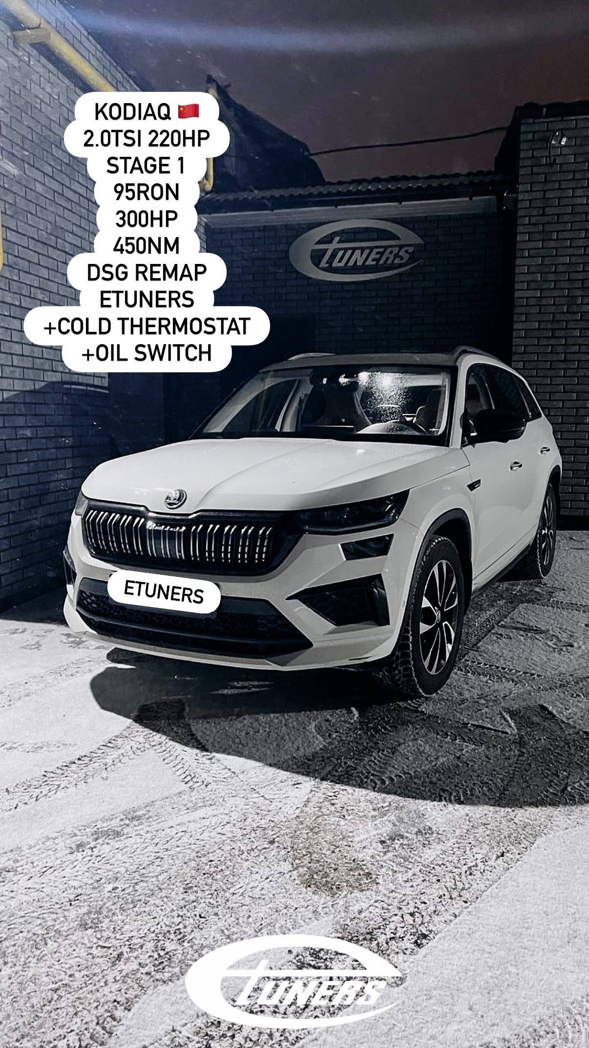 Kodiaq 2.0 TSI 220 HP Stage 1: Power increase!