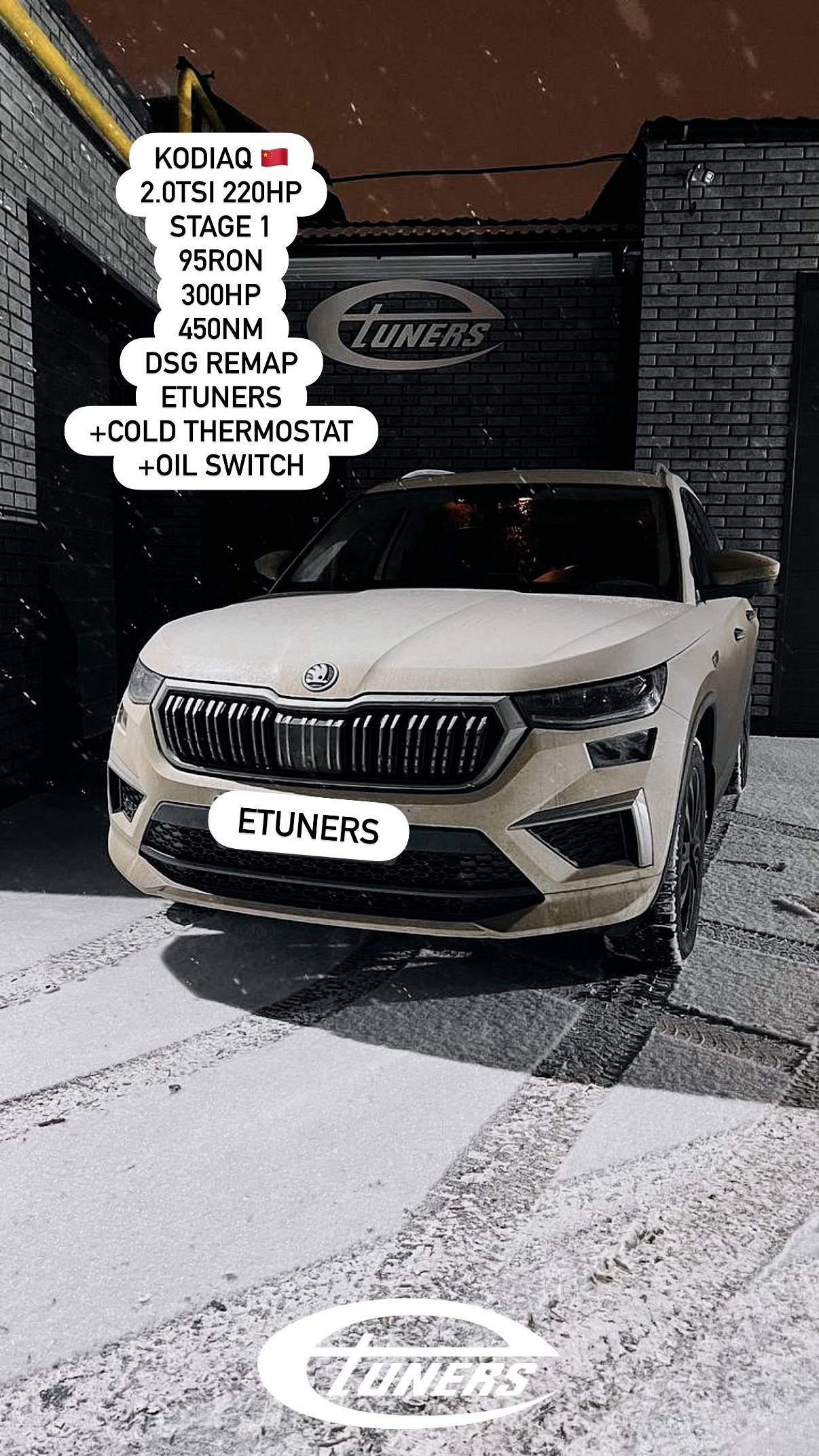 Skoda Kodiaq 2.0 TSI Stage 1: +30 hp and +50 Nm