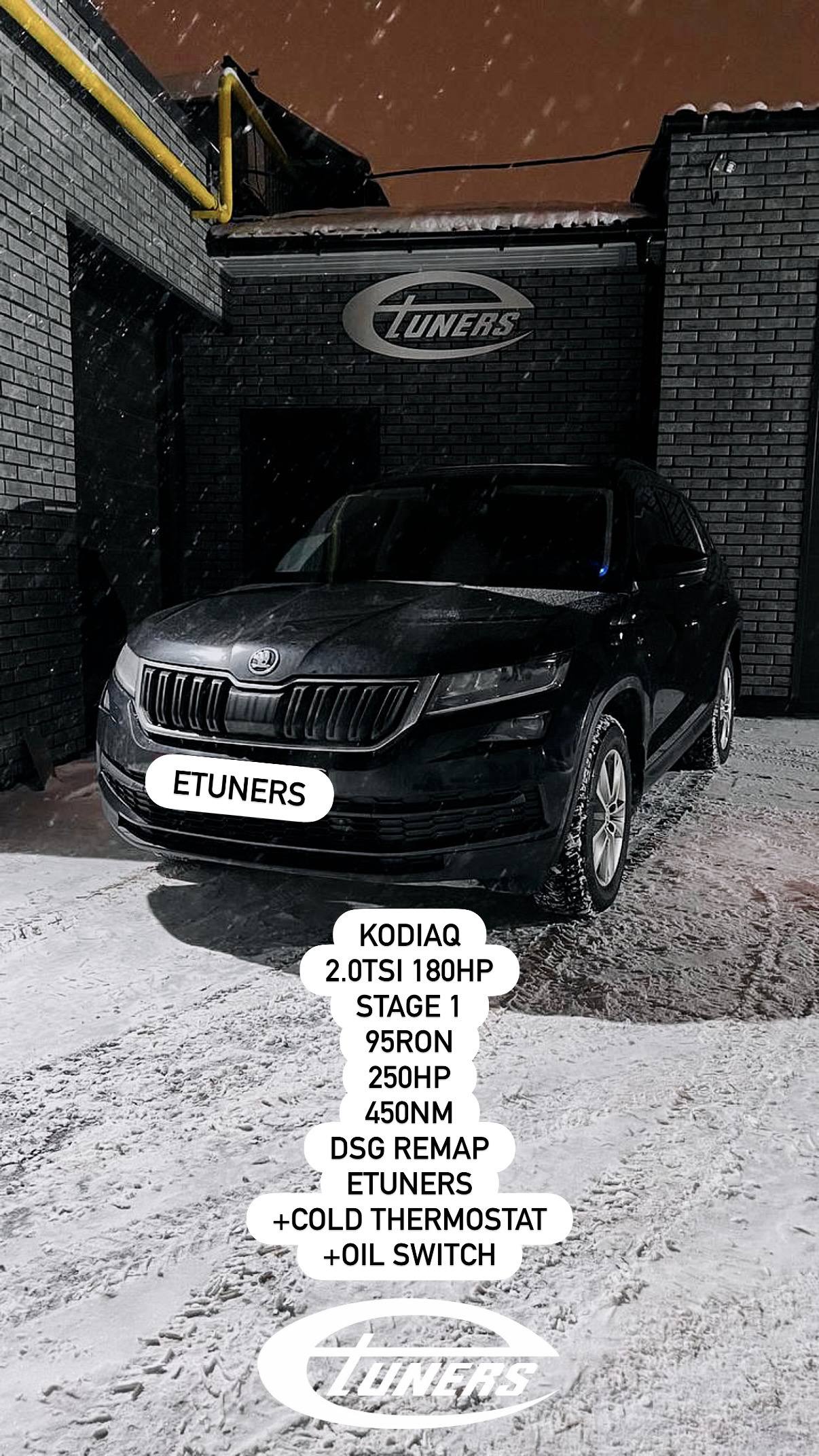 Skoda Kodiaq 2.0 TSI Stage 1: +30 hp and improved characteristics