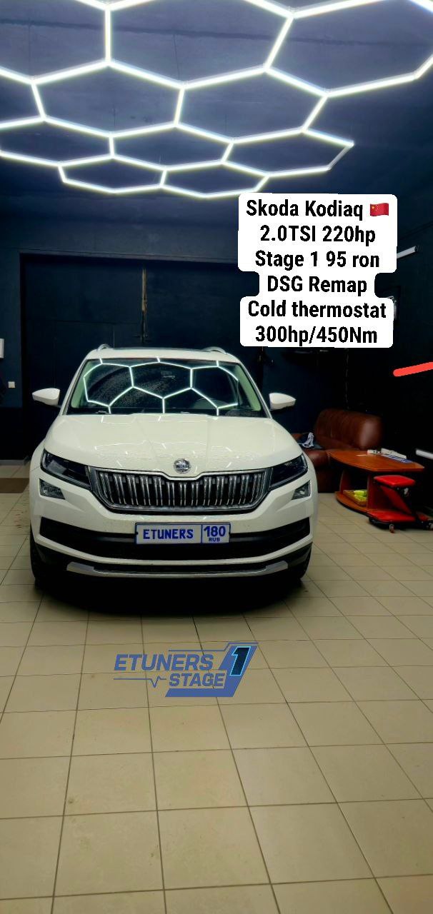 Skoda Kodiaq 2.0TSI Stage 1: +80 hp and +150 Nm