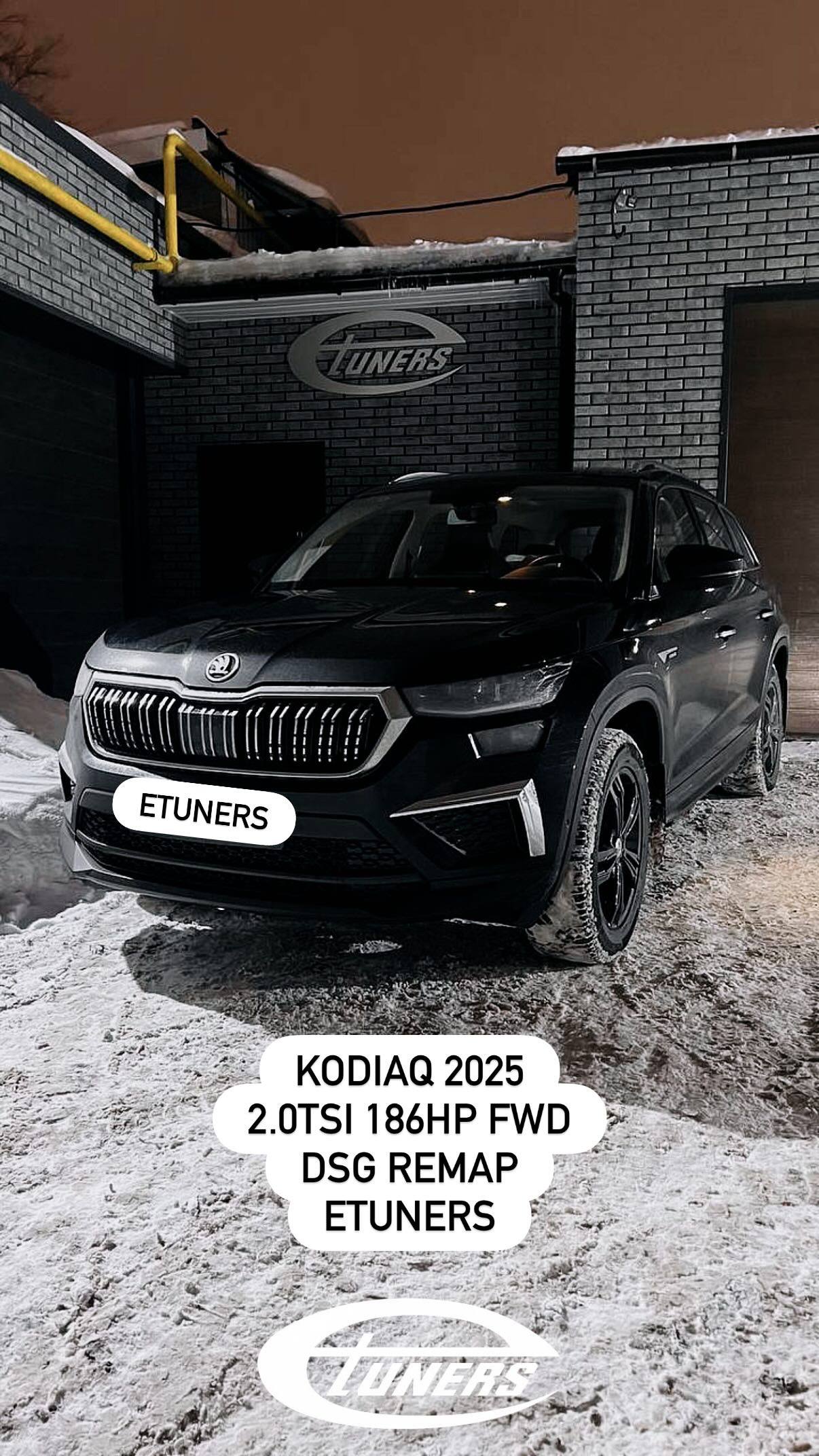 Kodiaq 2025 2.0 TSI chip tuning: +20 hp.