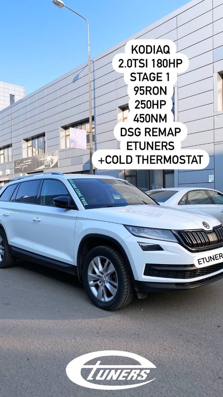 Skoda Kodiaq 2.0 TSI Stage 1: +30 HP and improved dynamics