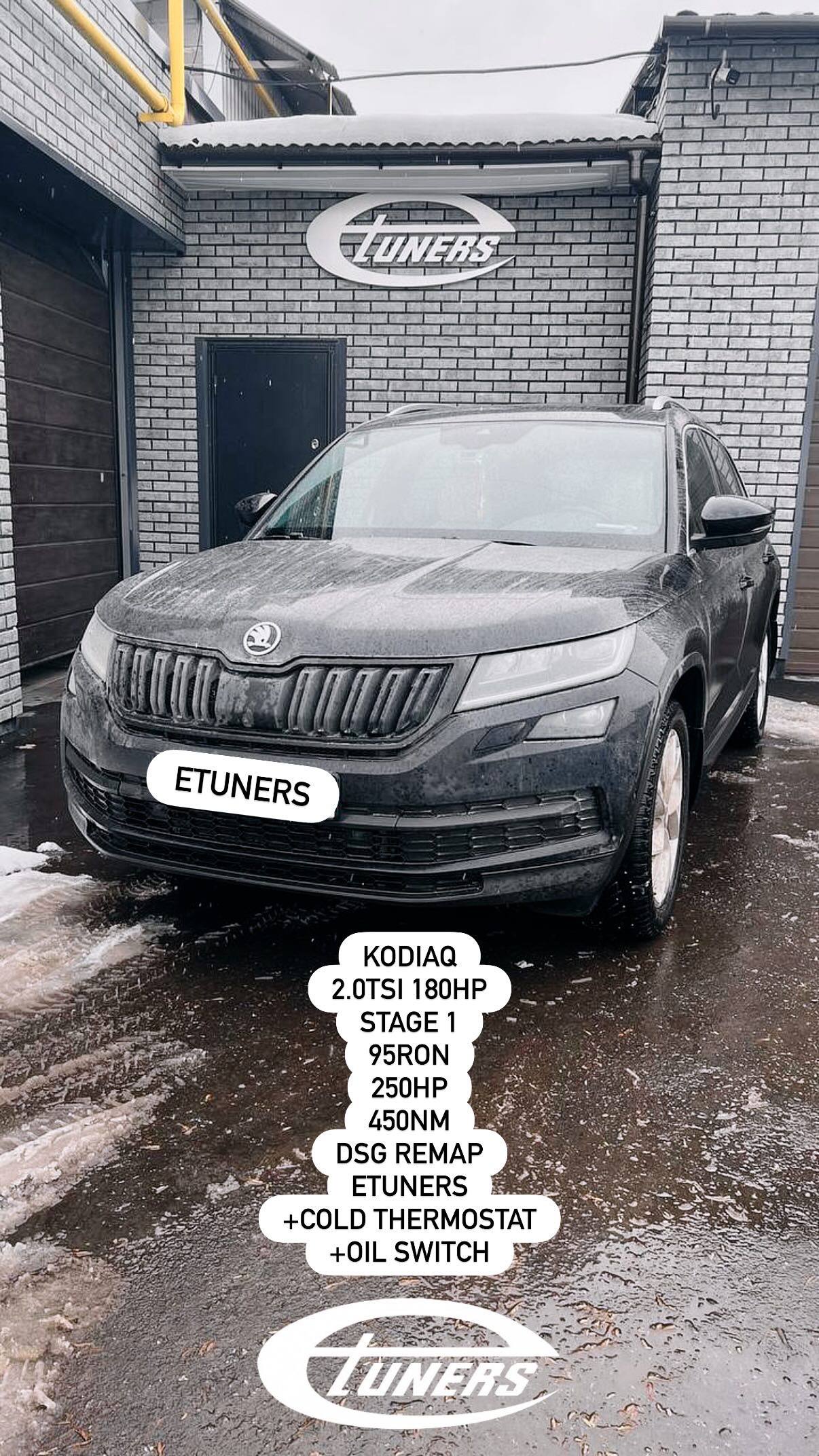 Skoda Kodiaq 2.0 TSI Stage 1: +30 HP and improved dynamics