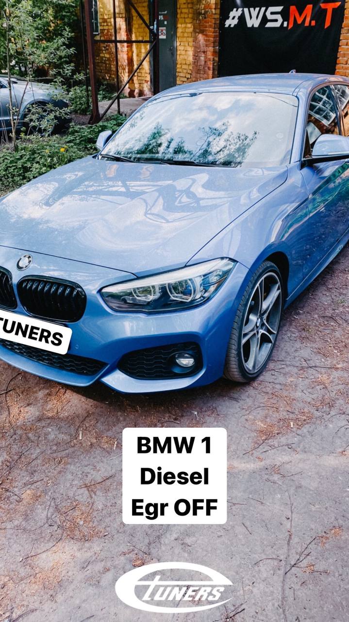 BMW 1: Disabling EGR to increase performance