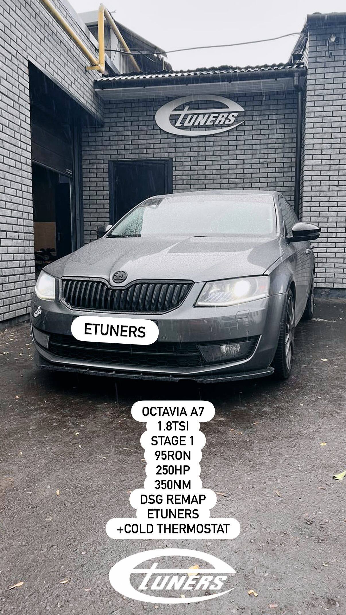 Skoda Octavia A7 1.8 TSI Stage 1: Комлексная работа уровня ст1 с термостатированием