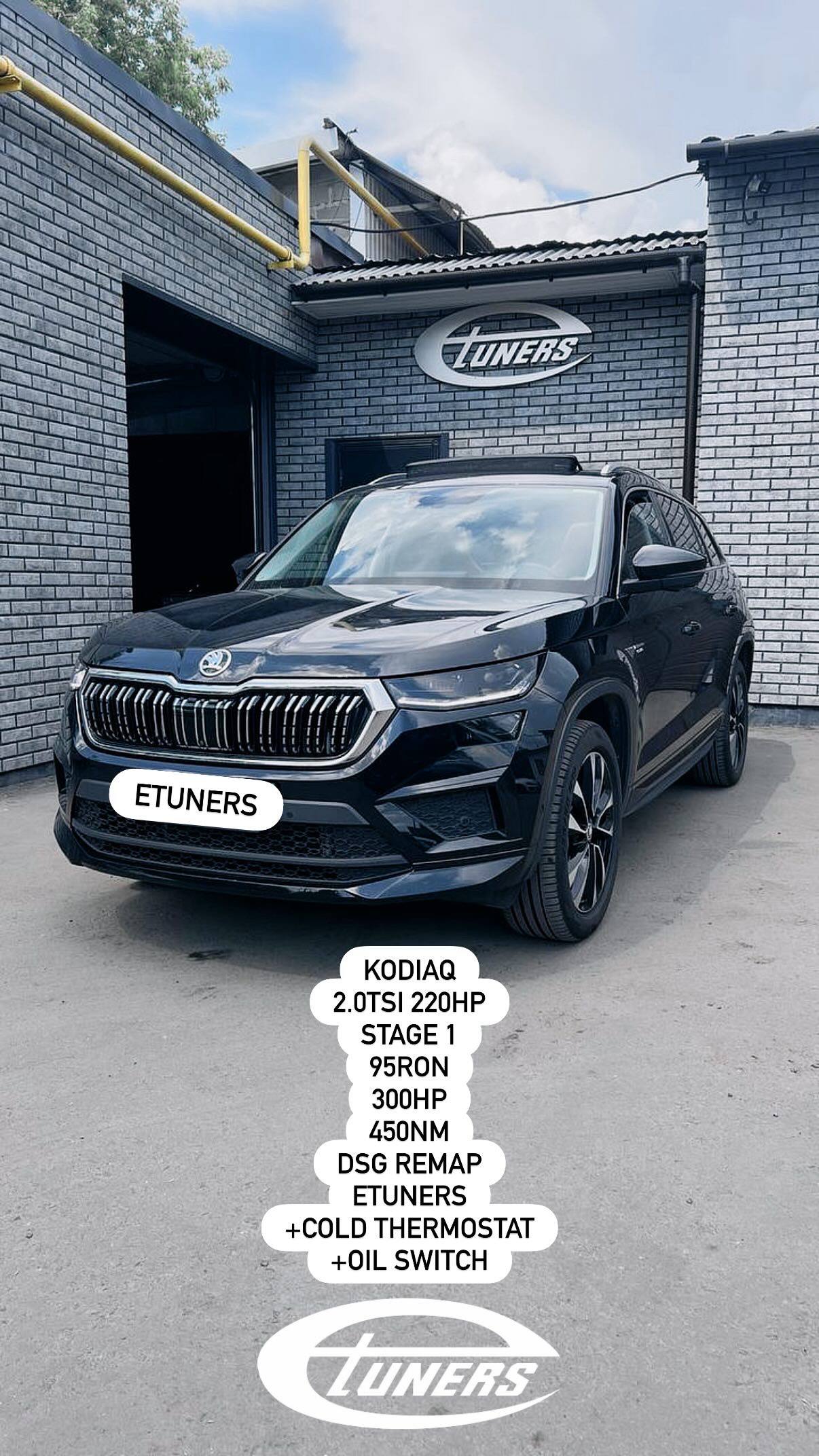 Skoda Kodiaq 2.0 TSI Stage 1: +20 hp and +40 Nm (15.06.2026)