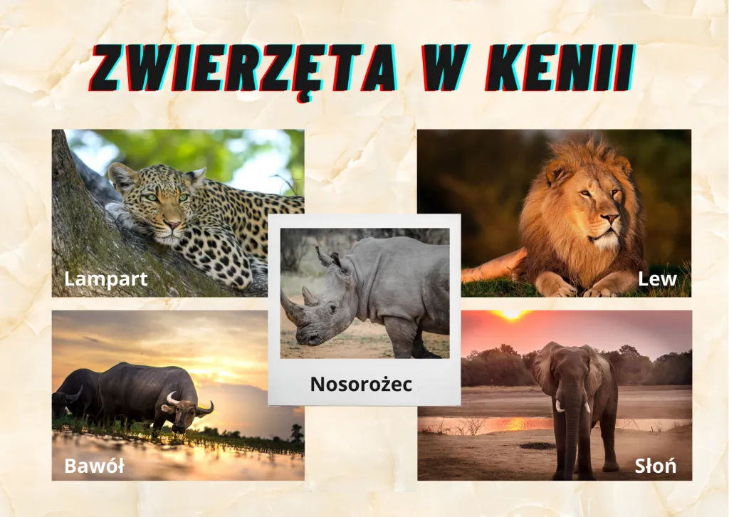zwierzęta w Kenii