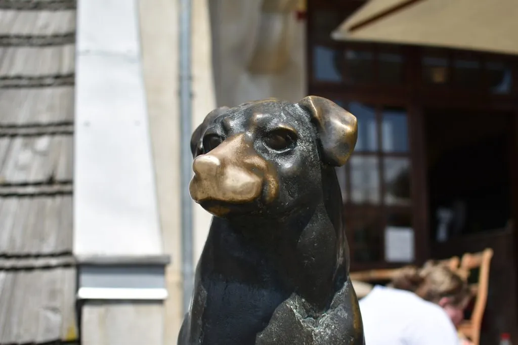 Kazimierz Dolny na weekend Kazimierz Dolny na weekend