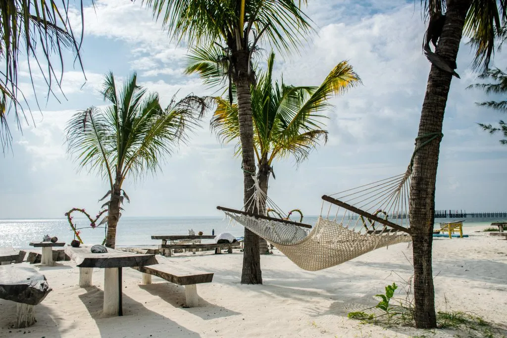zanzibar kiedy jechać