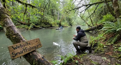 Finding Coho Salmon in Shaded River Sloughs