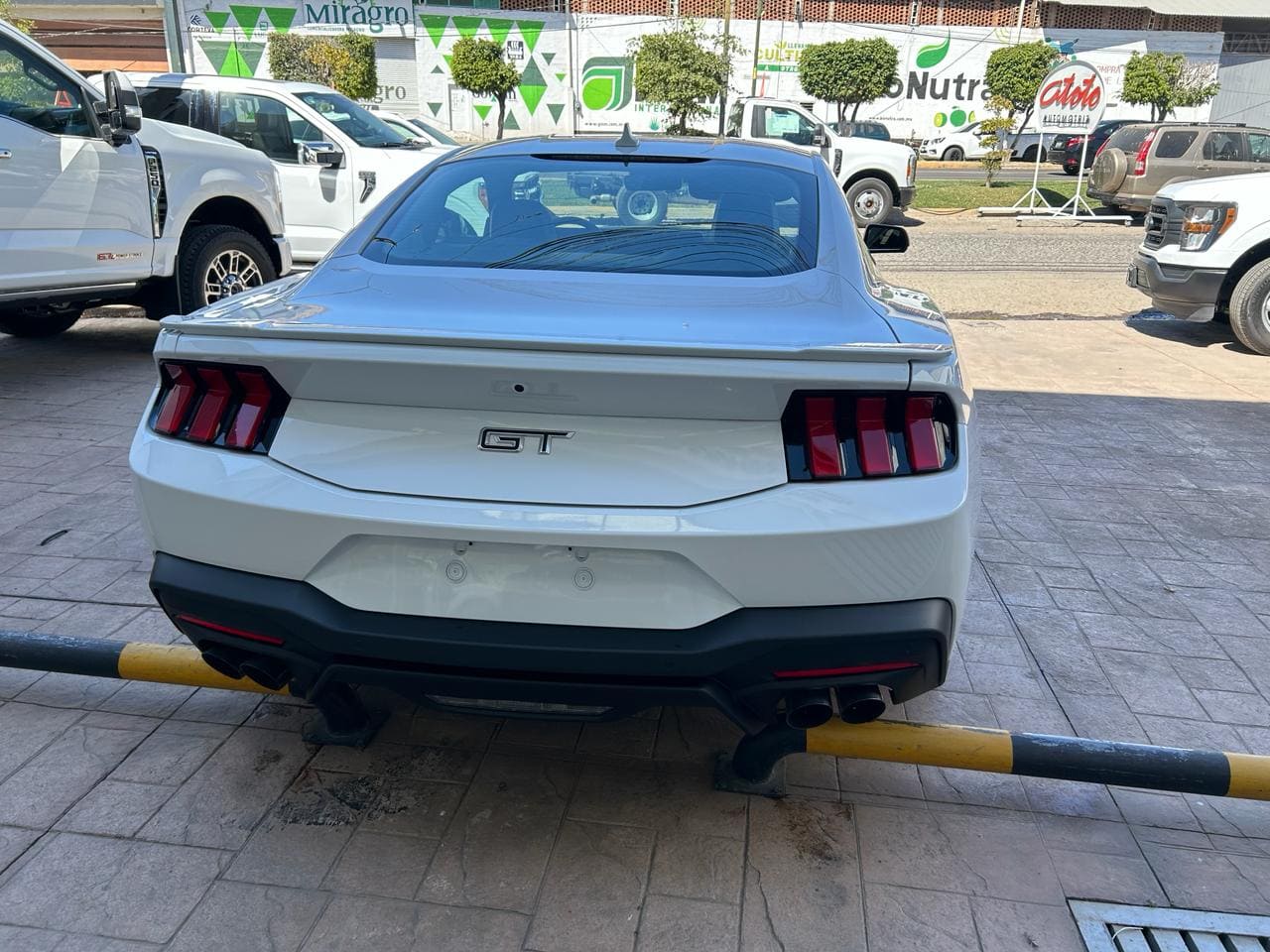 Ford Mustang 2024 GT V8 Automático Blanco