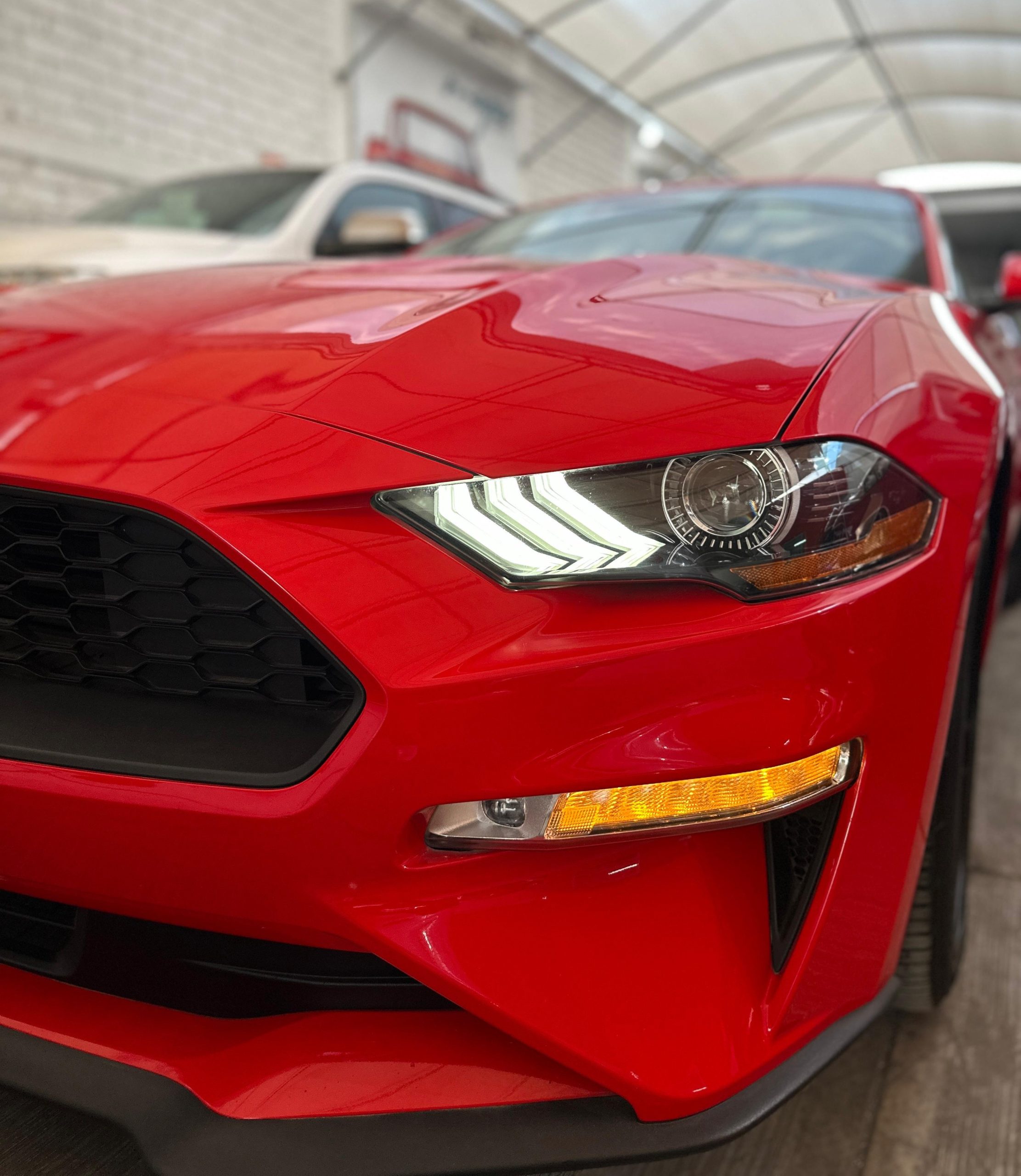Ford Mustang 2019 EcoBoost Automático Rojo