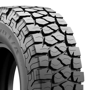 https://storage.googleapis.com/autosync_tires/-6HIREk35c4WCq8gIv~nEw__.webp