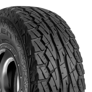 https://storage.googleapis.com/autosync_tires/229bcab1c5d111f5c272829c96e6573c.webp