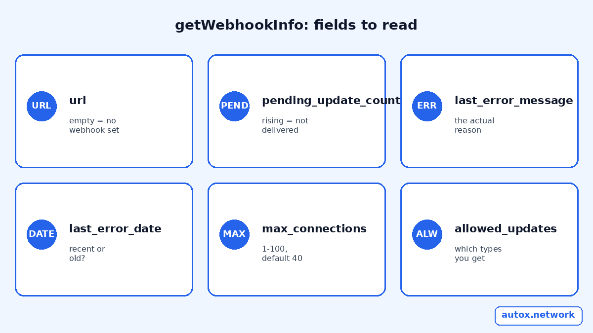 Grid of six getWebhookInfo fields to read: url, pending_update_count, last_error_message, last_error_date, max_connections from 1 to 100 with default 40, and allowed_updates