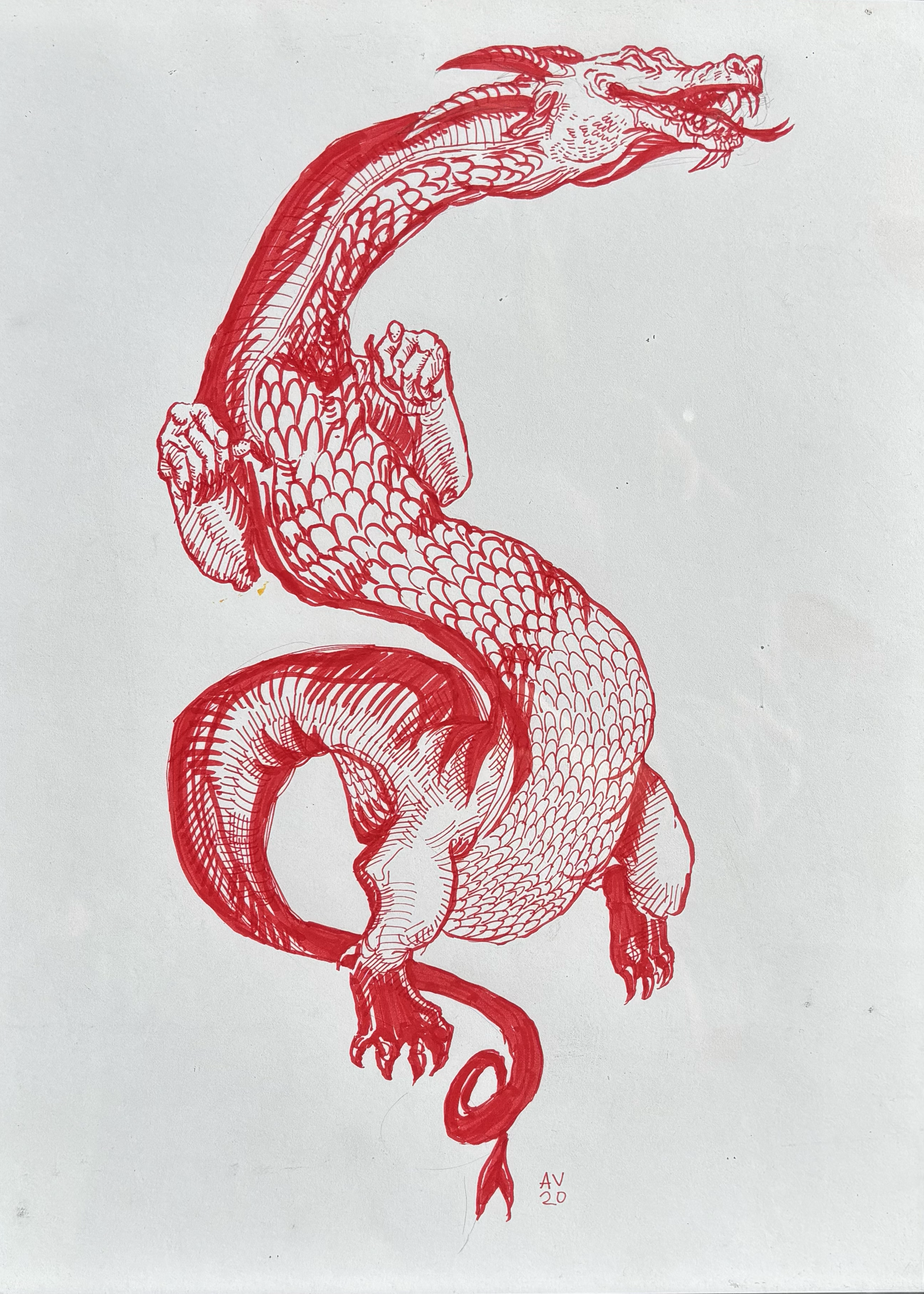 Year of the Red Dragon