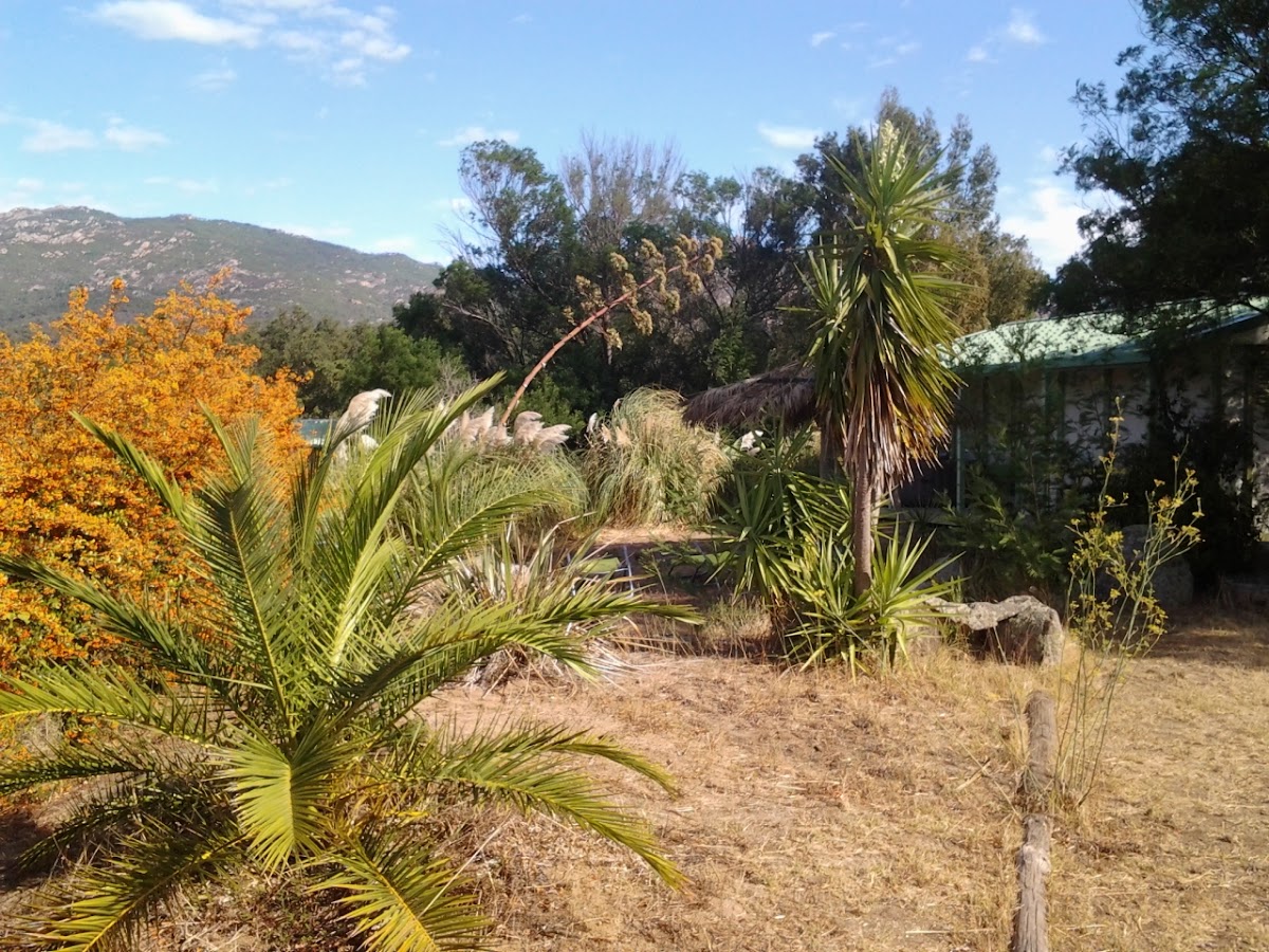 U GIARDINU TROPICALE