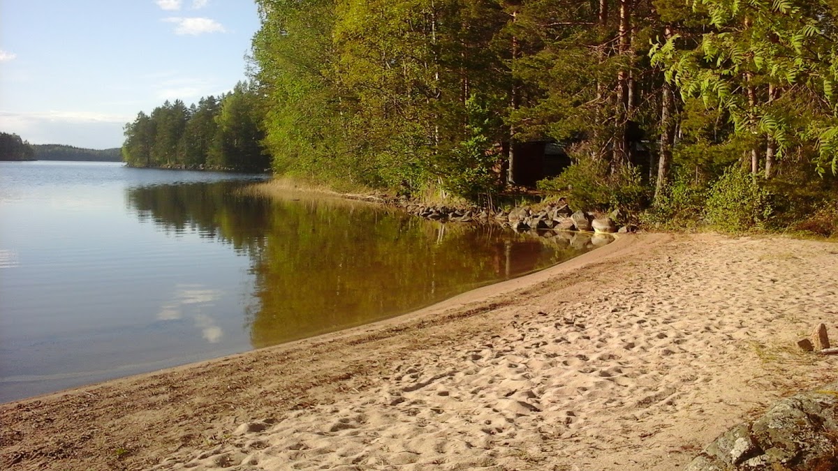 Photo 5