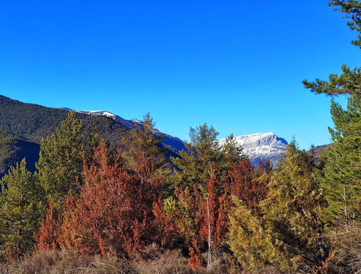 Camping Valle de Ansó