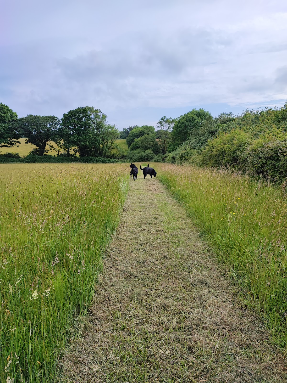 Prospect Holiday and Leisure Park