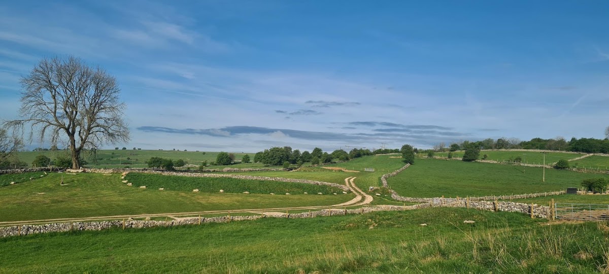 lees meadow farm