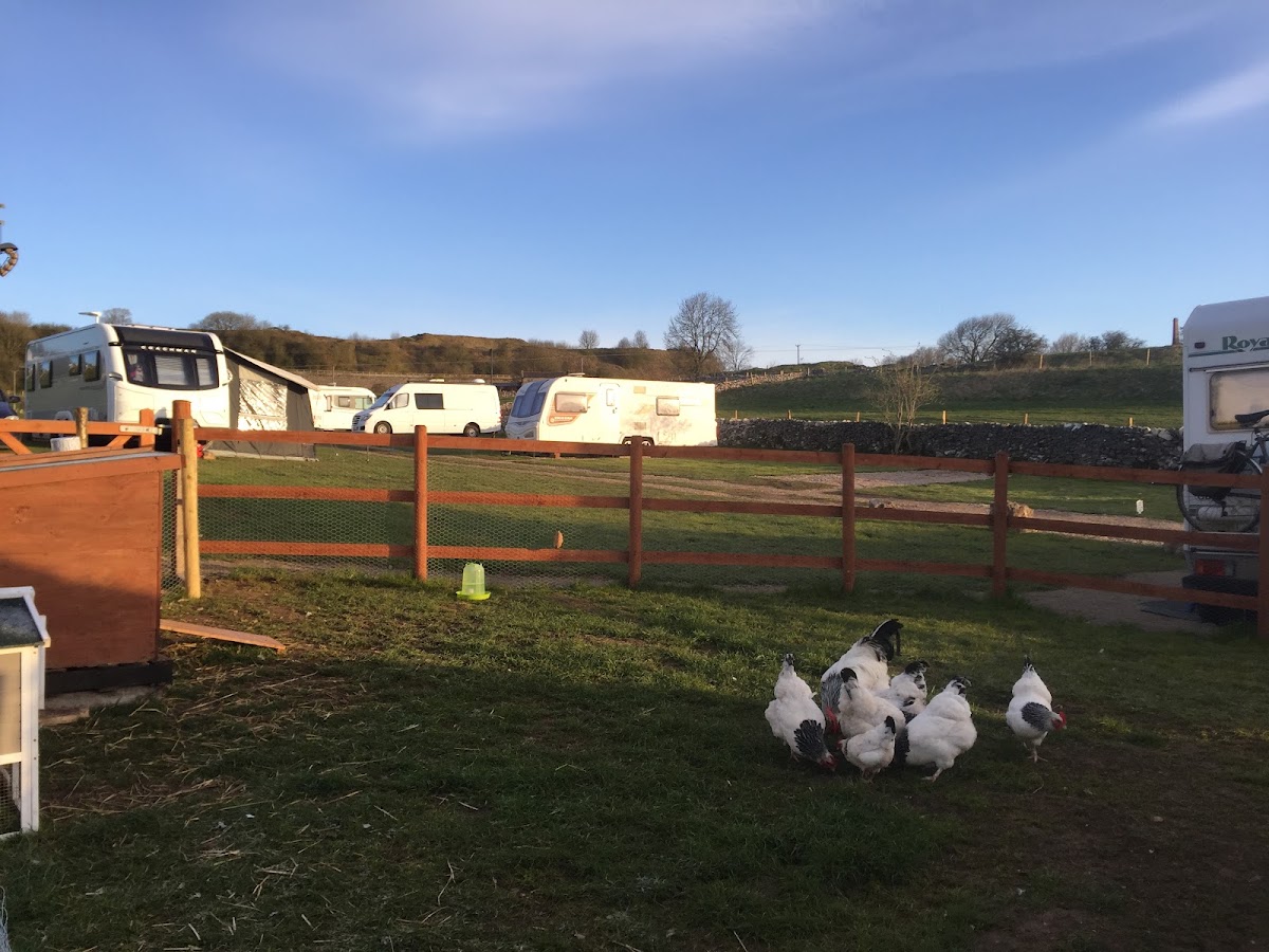 lees meadow farm