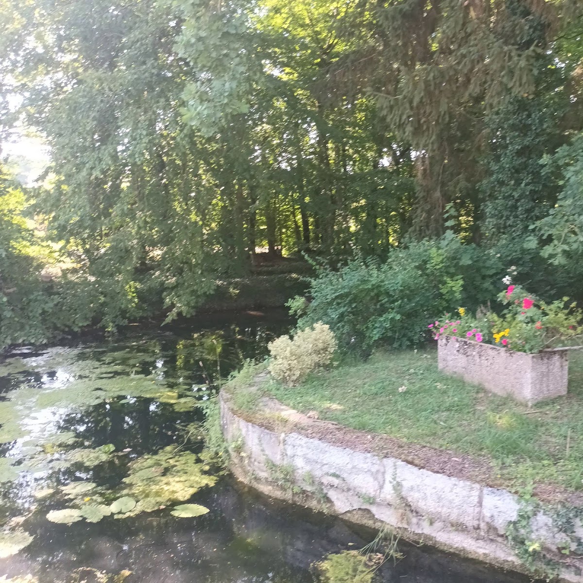 Camping Municipal Aire Naturelle Montiers-sur-Saulx