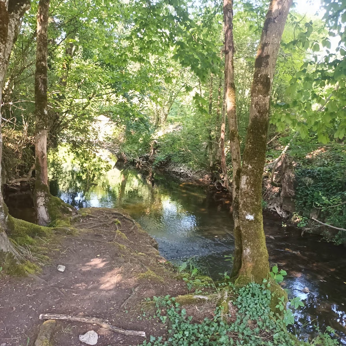 Camping Municipal Aire Naturelle Montiers-sur-Saulx