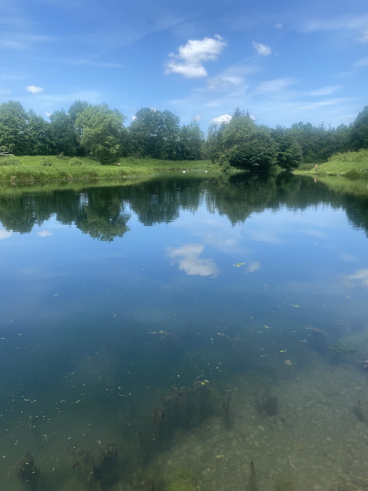 The Green Frog Cafe, Campsite & Fishery