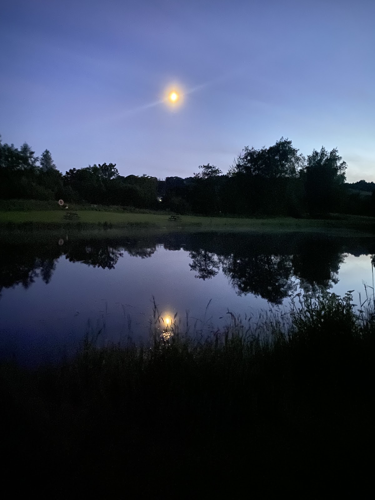 The Green Frog Cafe, Campsite & Fishery