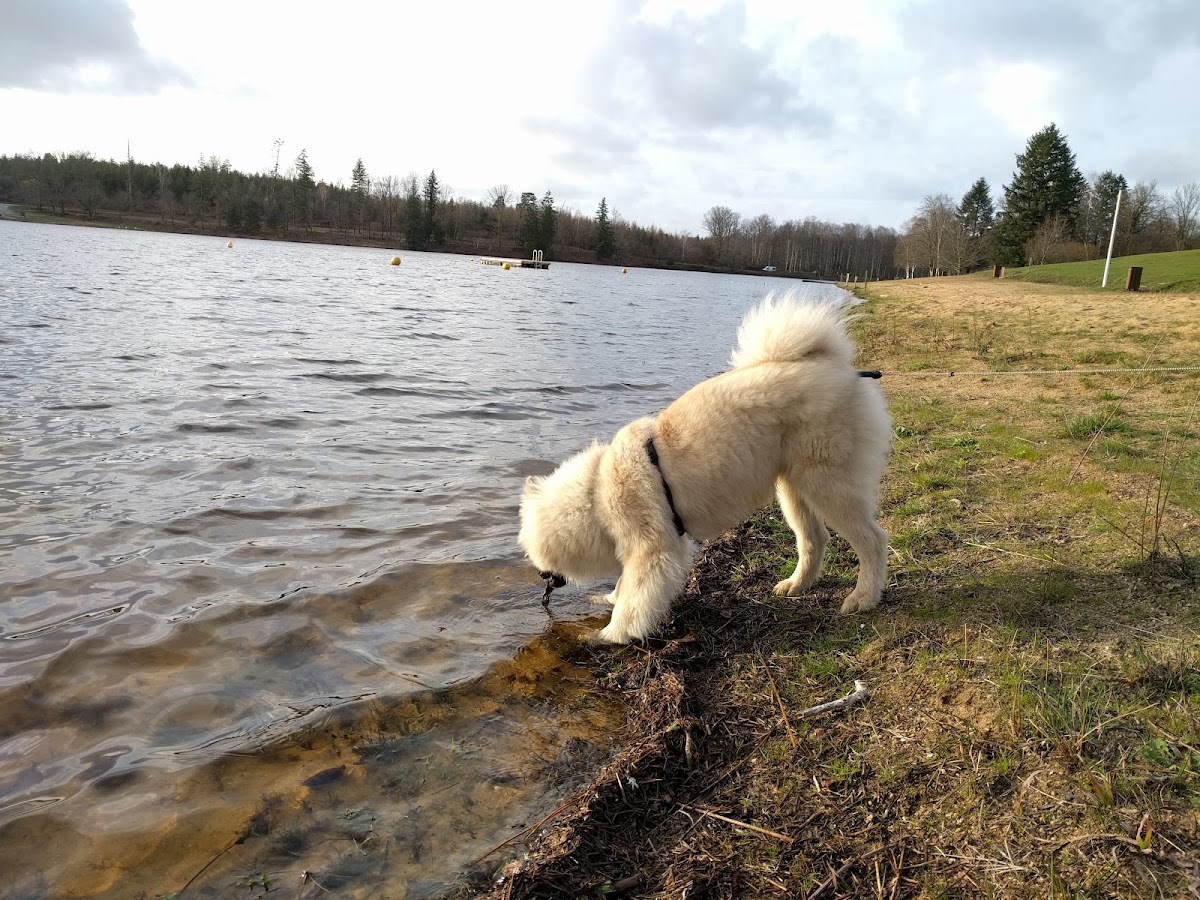 Camping du Lac