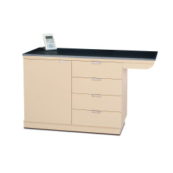 Avante VSE 2200DE Weigh & Exam Table