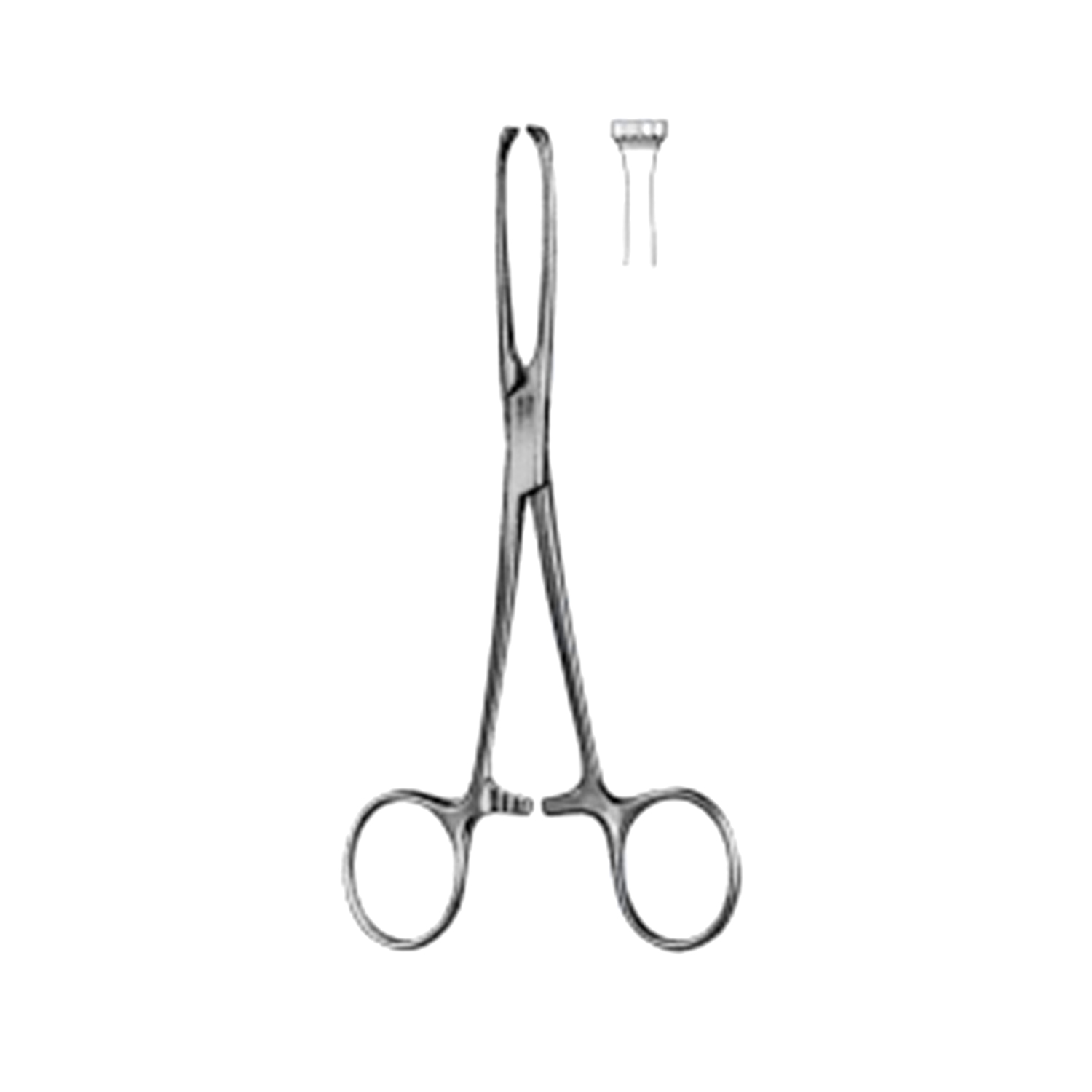 Marina Medical Baby Allis Forceps - 4x5 teeth: 12cm/4.5in