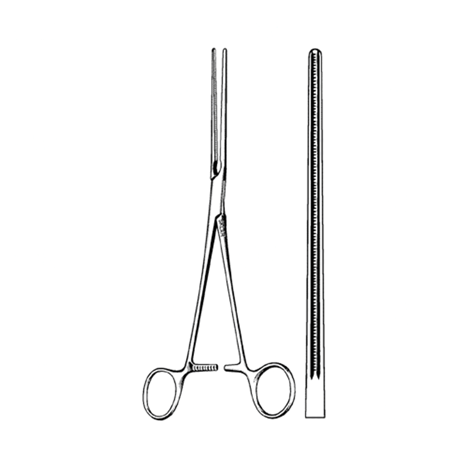 Pinzette Chirurgiche Forcipe Adson 15cm 12cm Micro Pinze Thumb Pinza  Forceps X3