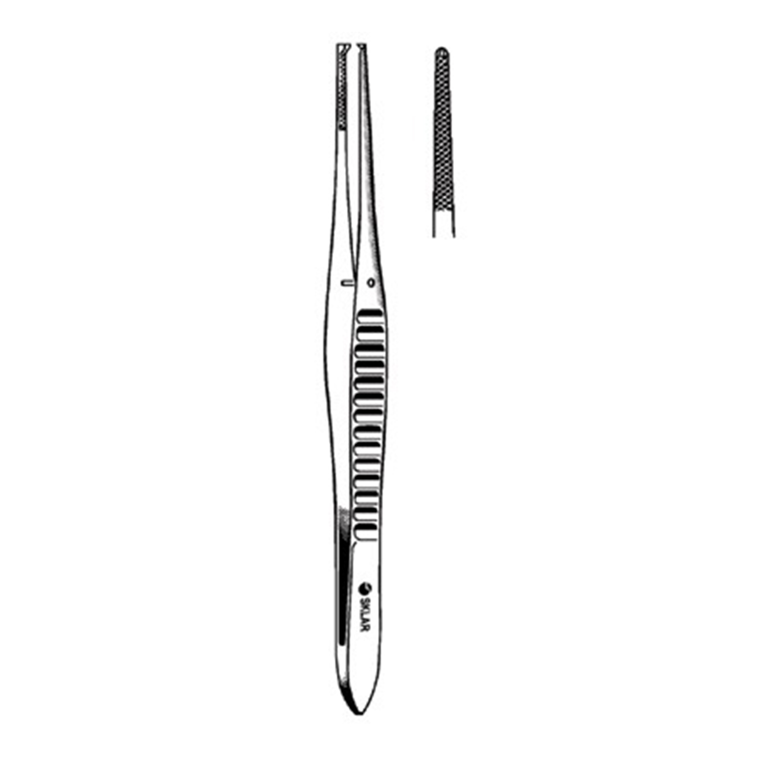 Pinzette Chirurgiche Forcipe Adson 15cm 12cm Micro Pinze Thumb Pinza  Forceps X3