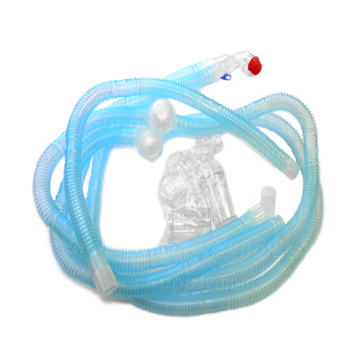 大多数呼吸道呼吸器的成人呼吸呼吸电路