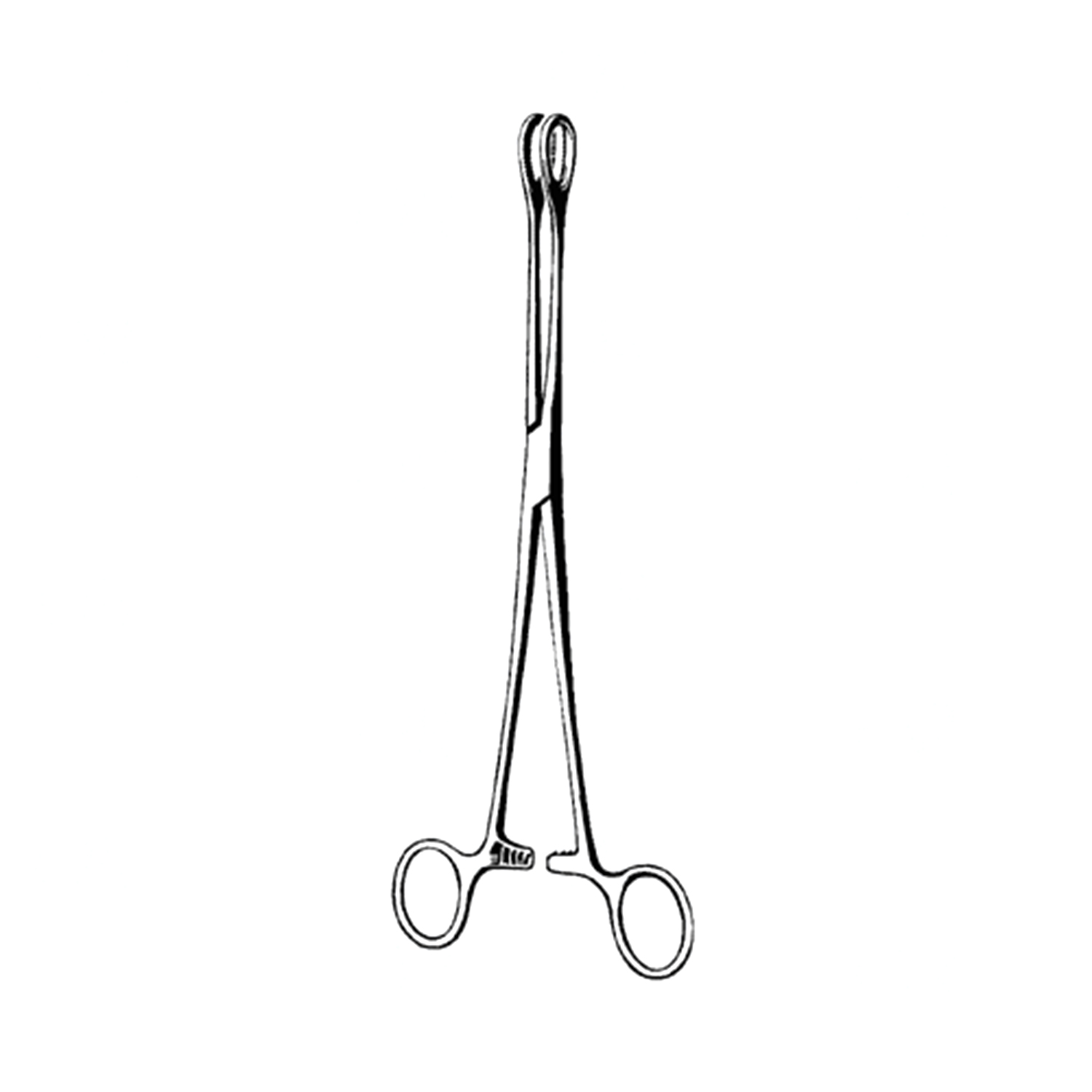 Sklar Merit Foerster Sponge Forceps