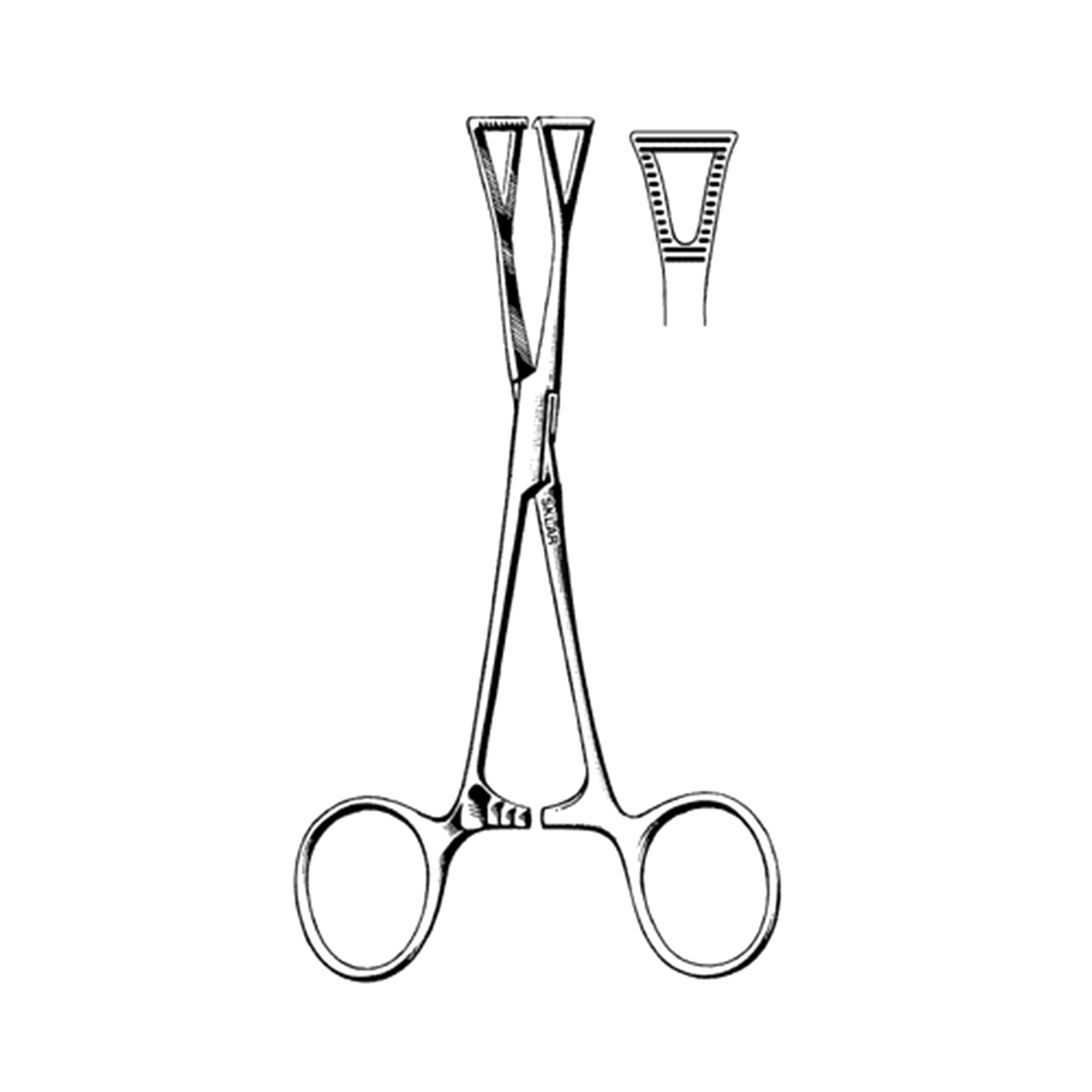 Sklar Collins Forceps