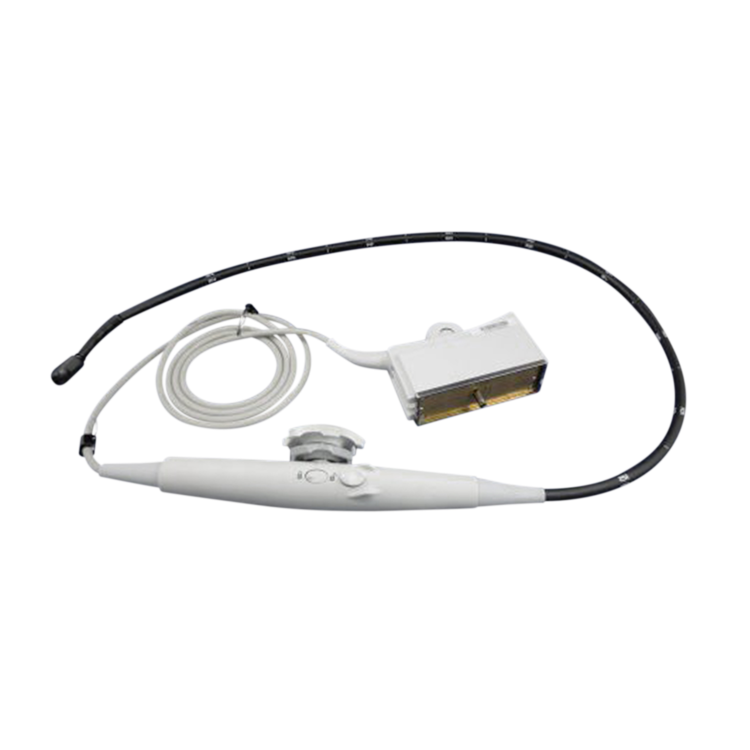 Acuson TE-V5Ms Ultrasound Probe