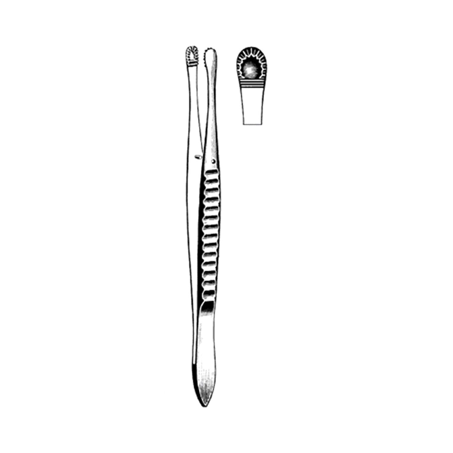 Sklar Merit Russian Tissue Forceps (Pack of 2)