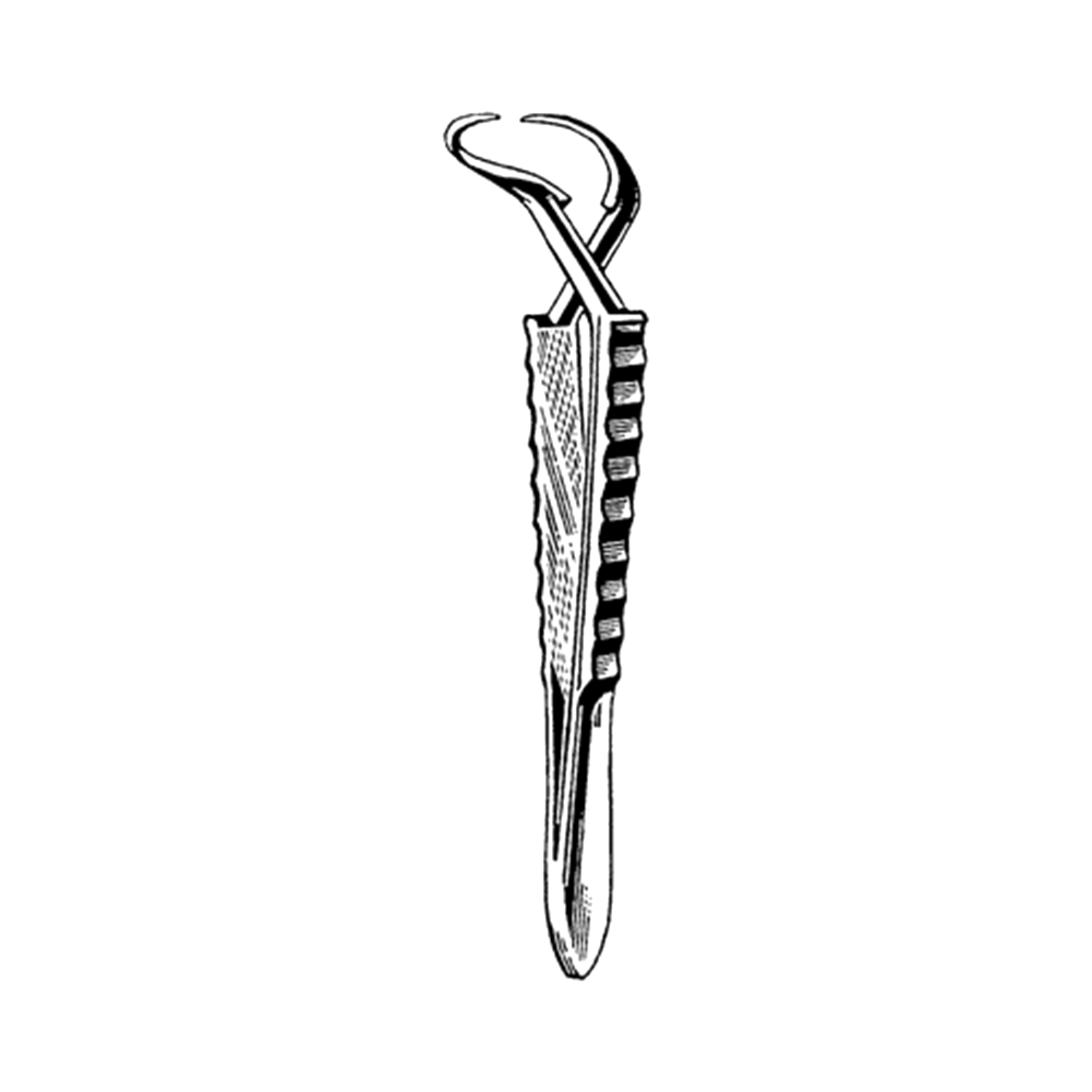 Sklar Merit Jones Towel Forceps