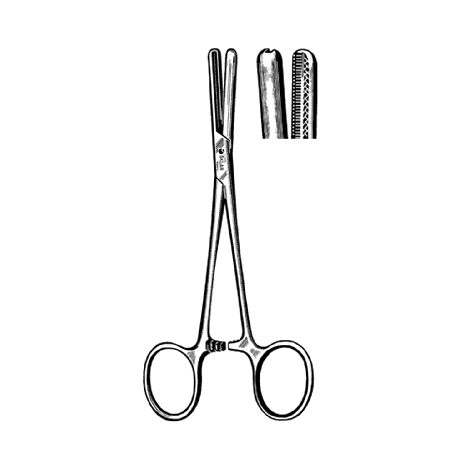 Pinzette Chirurgiche Forcipe Adson 15cm 12cm Micro Pinze Thumb Pinza  Forceps X3