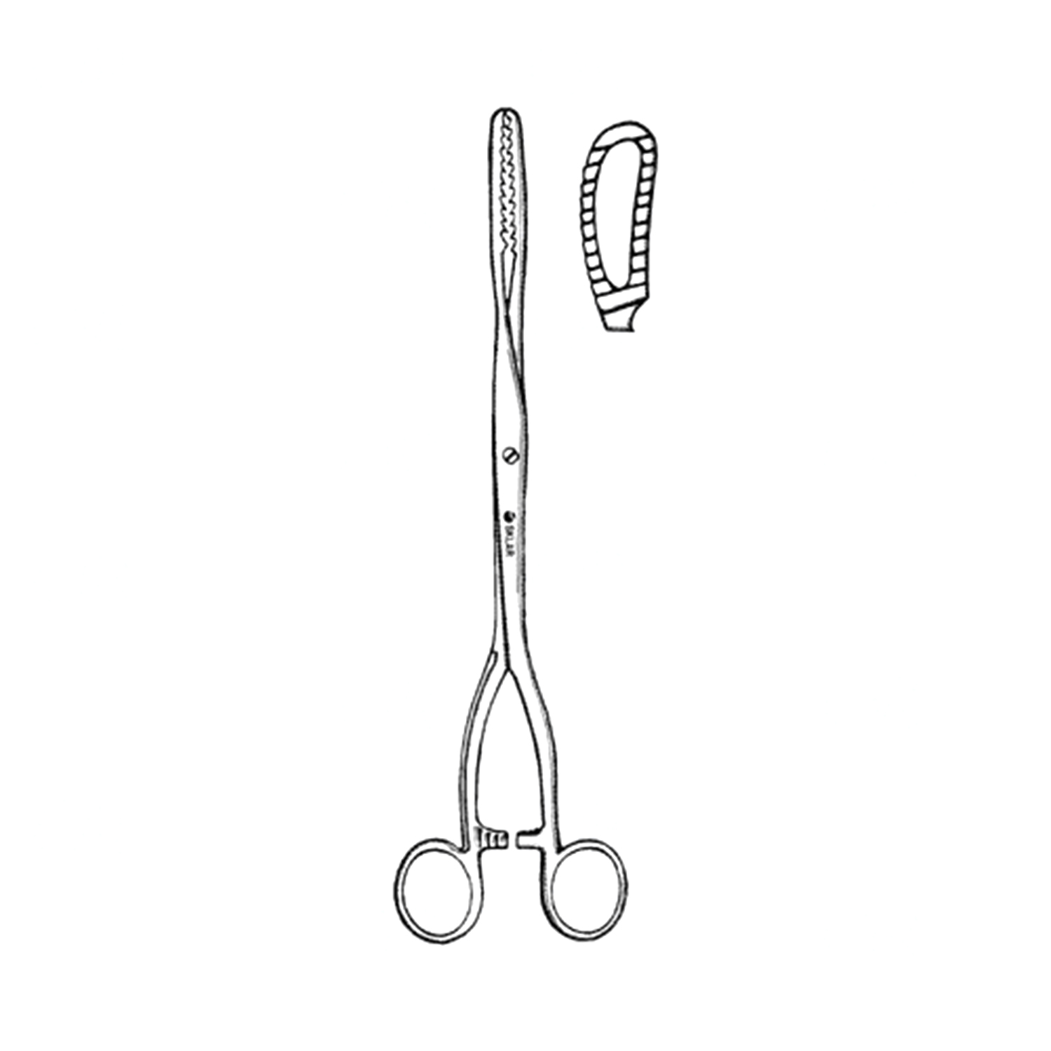 Sklar Bierer Ovum Forceps