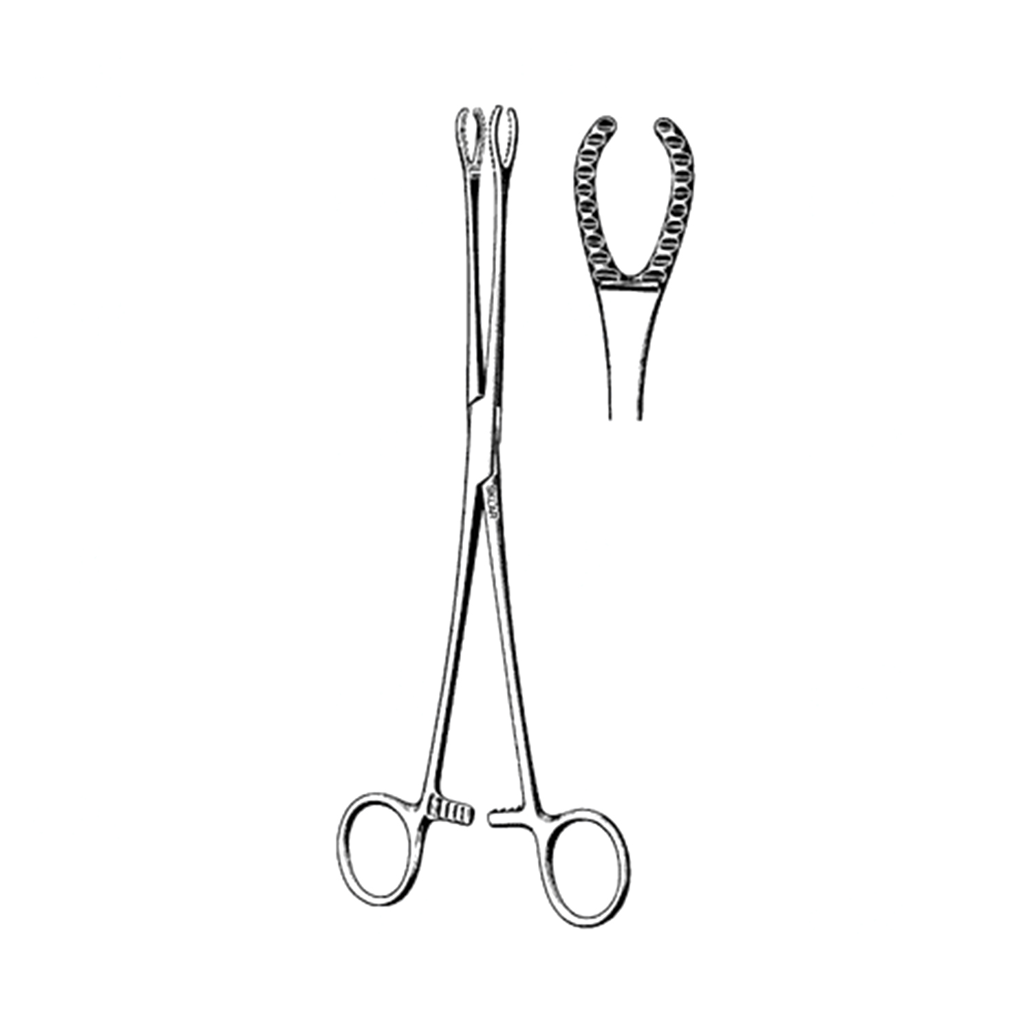 Sklar Gutglass Cervix Forceps