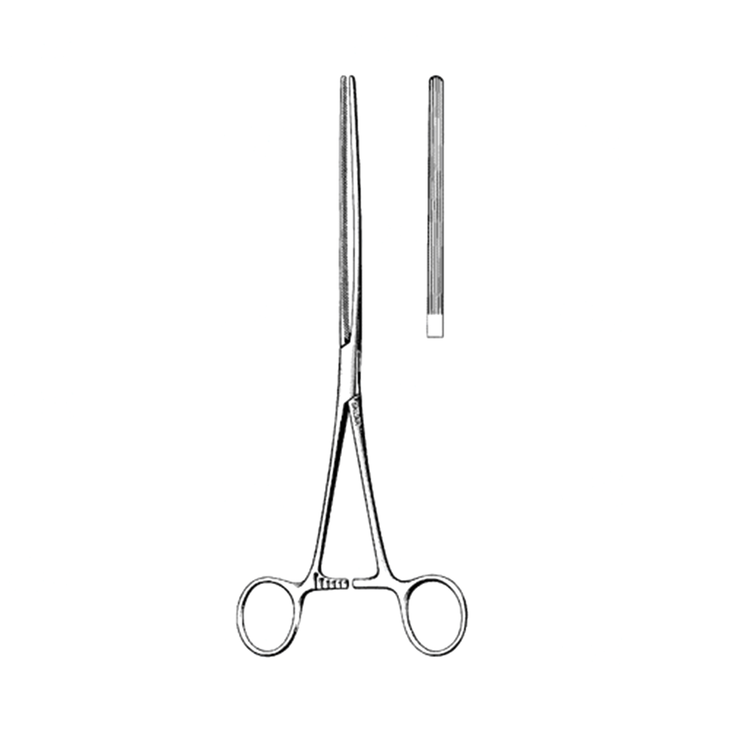 14 cm / 16 cm / 18 cm forbici chirurgiche scissors forceps per la clinica  odontoiatrica (acciaio inossidabile) per Odontoiatri e Dentisti 