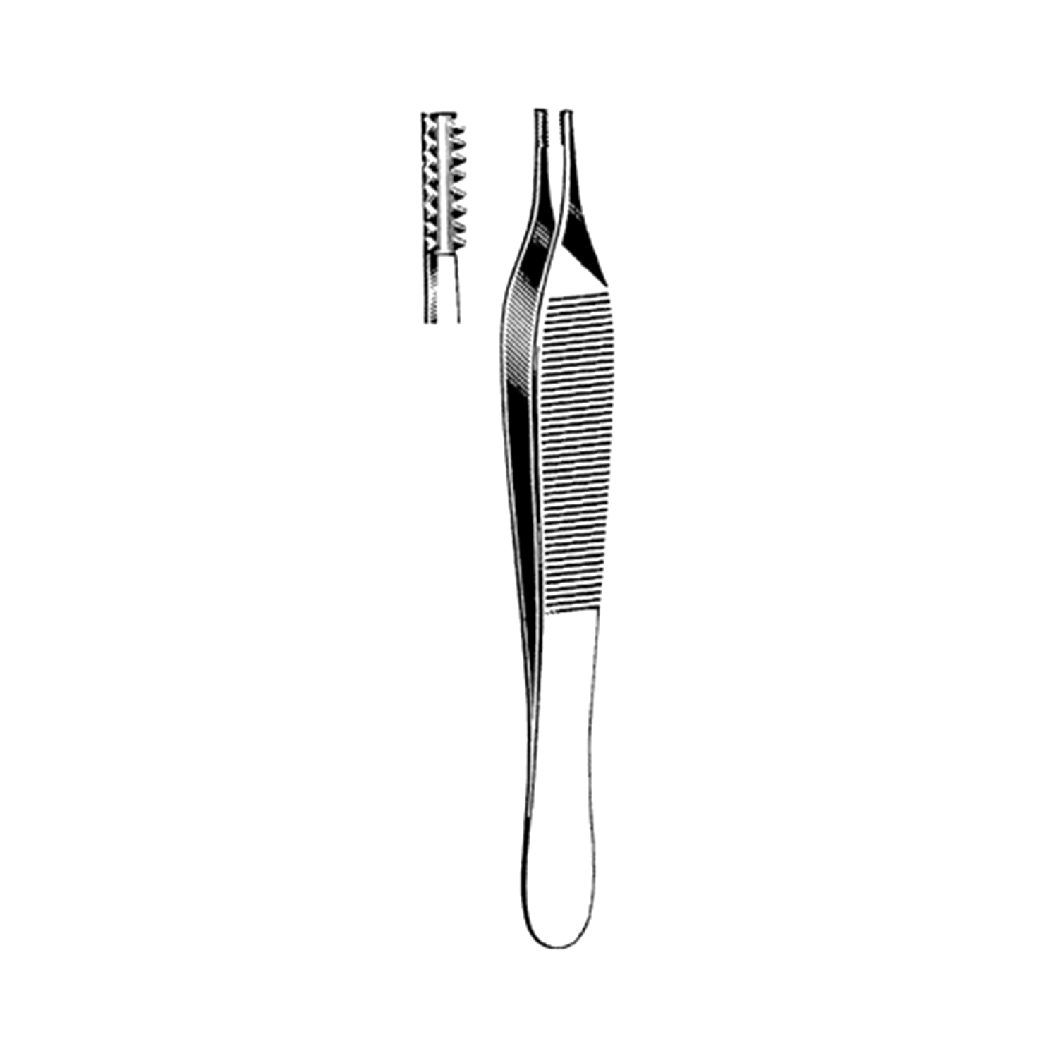 Sklar Merit Adson-Brown Tissue Forceps