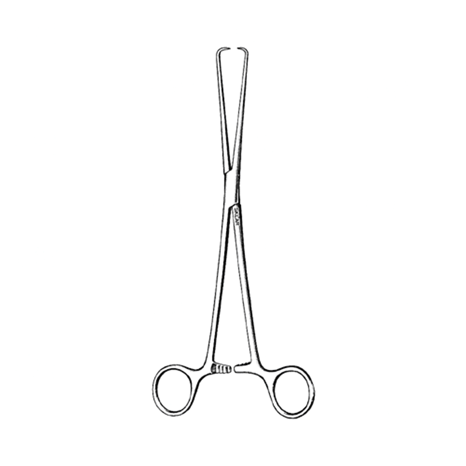 Sklar Schroeder (Braun) Tenaculum Forceps