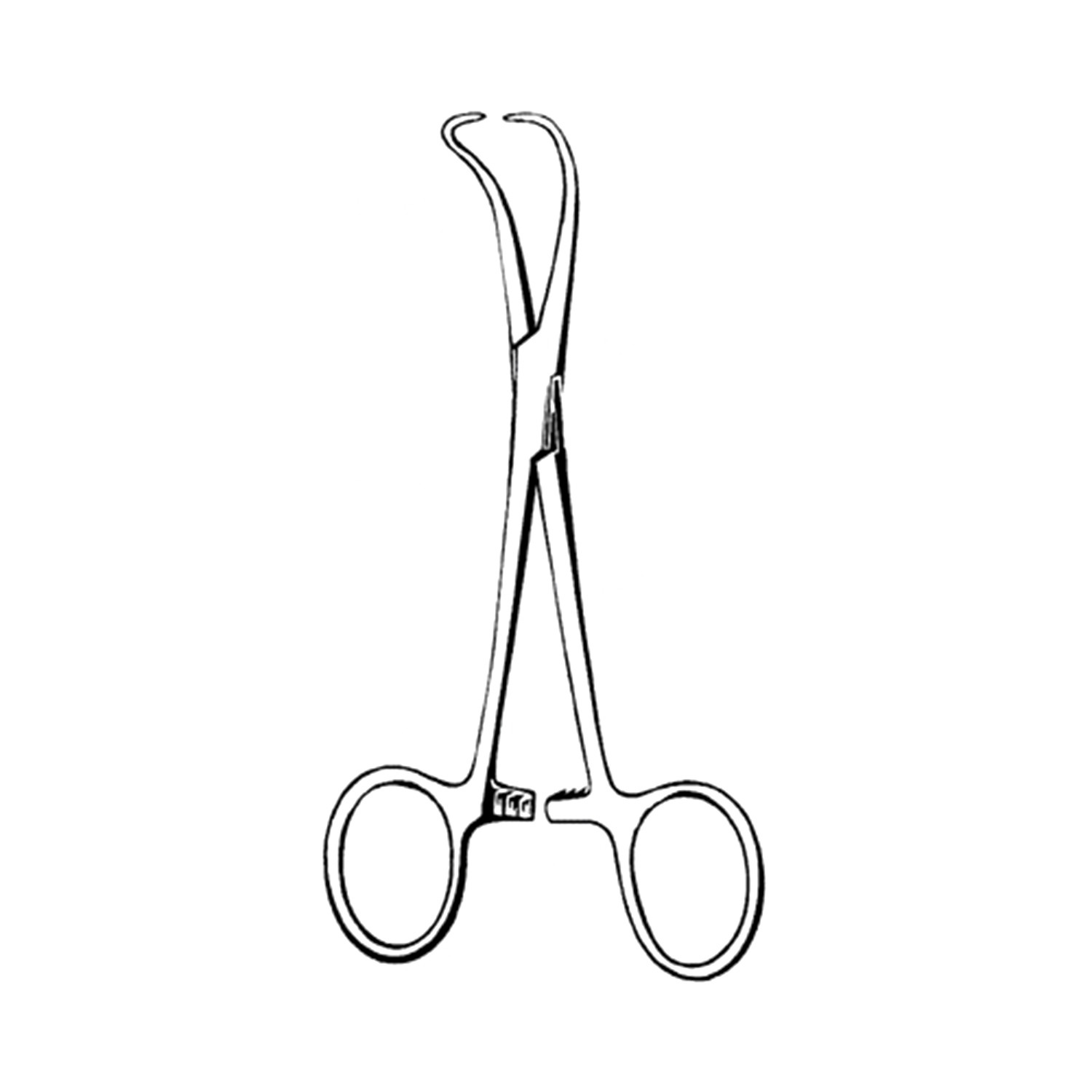 Sklar Econo Backhaus Towel Forceps (Box of 12)