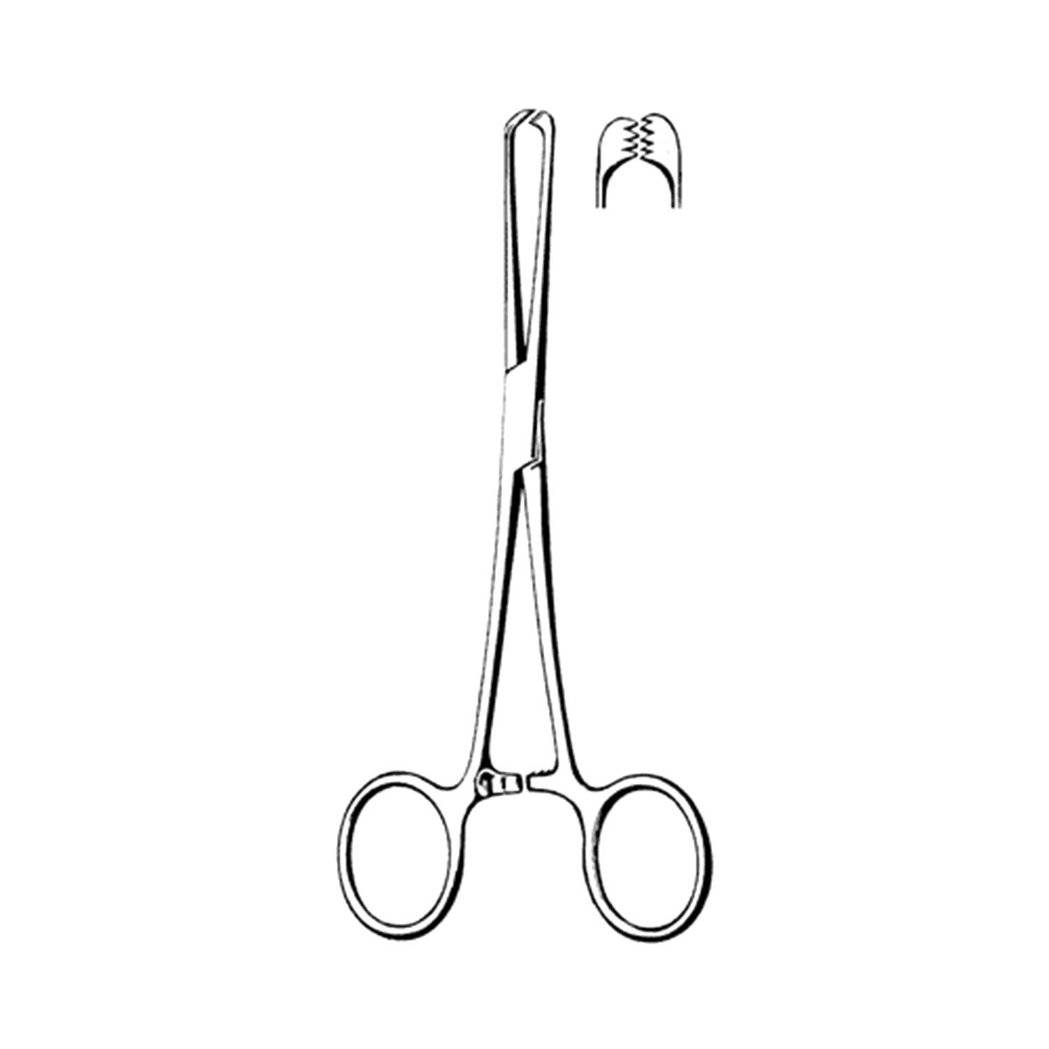 Sklar Merit Allis Tissue Forceps